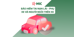 MIC - TAI NẠN LÁI, PHỤ XE