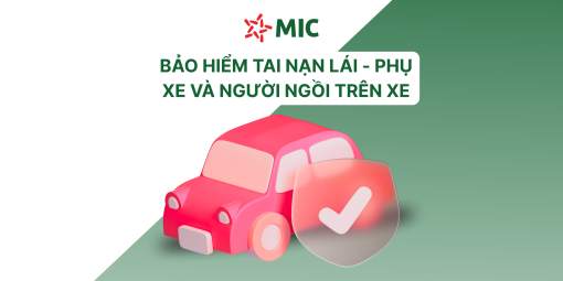 MIC - TAI NẠN LÁI, PHỤ XE