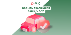 MIC - TNDS XE Ô TÔ