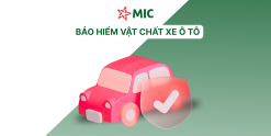MIC - VẬT CHẤT XE Ô TÔ