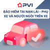 PVI - LPX