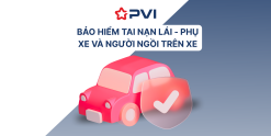 PVI - LPX