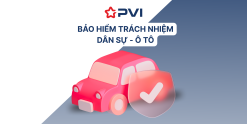 PVI - TNDS XE Ô TÔ