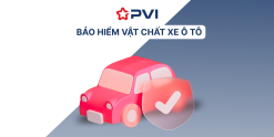 PVI - VẬT CHẤT XE Ô TÔ