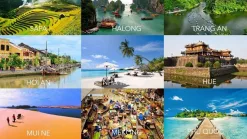 Bảo hiểm du lịch trong nước 2025