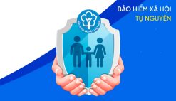 Bảo hiểm xã hội tự nguyện 2025