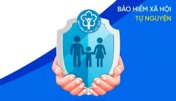 Bảo hiểm xã hội tự nguyện 2025
