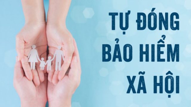 bao hiem xa hoi tu nguyen