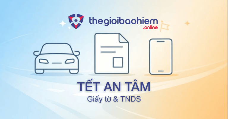 TET AN TAM Giay to TNDS